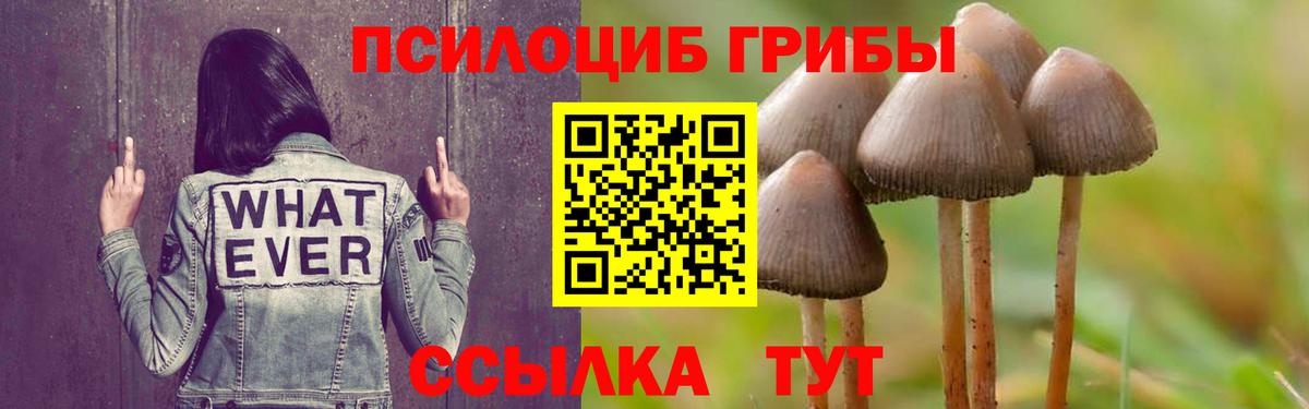 Галлюциногенные грибы прущие грибы Новый Уренгой
